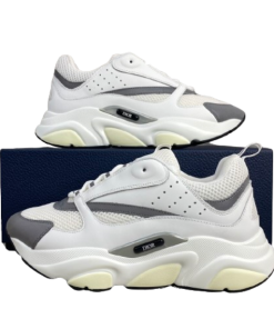 Dior B22 White Silver OG042398