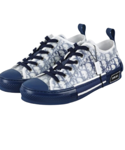 Dior B23 HT Oblique Transparency LOW White Blue OG0423100