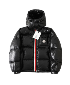 Moncler Montbeliard Down Jacket (NFC) OG051805