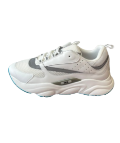 Dior B22 series dad shoes OG0527482