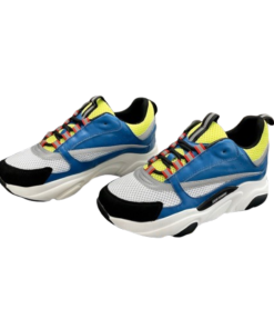 Dior B22 series dad shoes OG0527