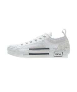 Dior B23 LOW White OG0601556